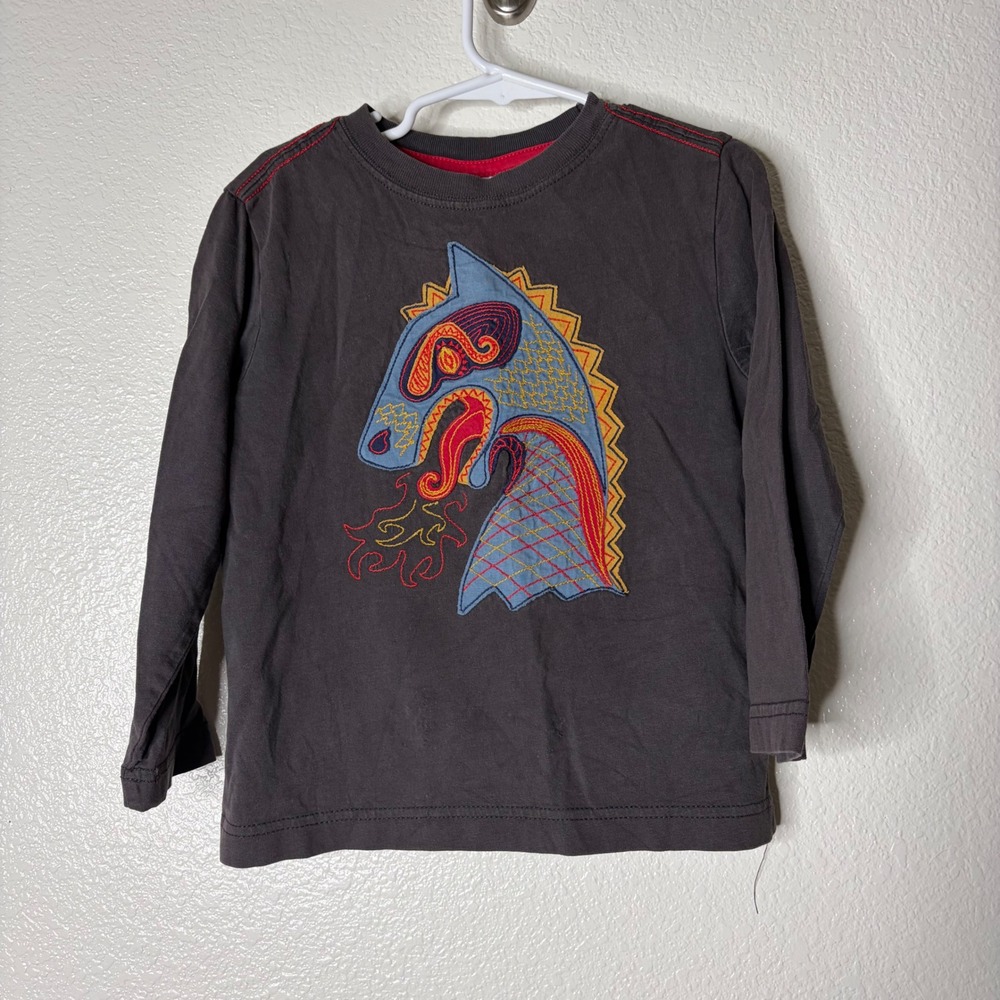 Hanna Andersson Kids Dragon Embroidered Long Sleeve Graphic Tee Grey Size 100